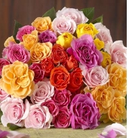 Bouquets - Surprise