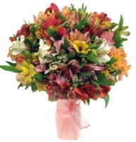 Bouquets - Delight