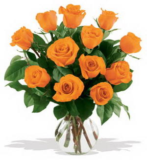 �������� ������ Apricot