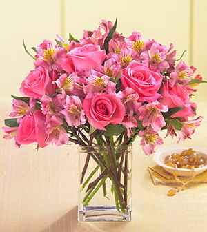 �������� ������ Sweet