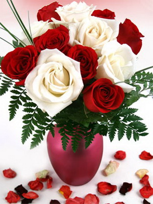 �������� ������ Red and White