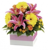 Arrangement of seasonal cut flowers in the box