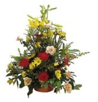 Colourful Arrangement