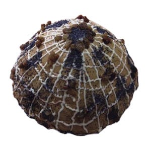 �������� ������ Little Ant Cake