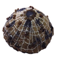Cakes - Little Ant Cake