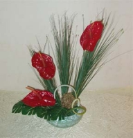 Compositions - Composition made of anthurium