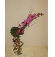 Compositions - Violet orchid in a curved vase