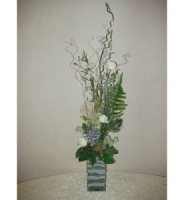 Compositions - Ranunculuses in a squre vase with a sand