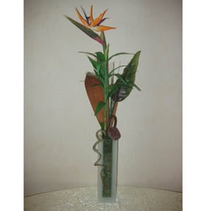 �������� ������ Composition of strelitzia