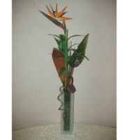 Compositions - Composition of strelitzia