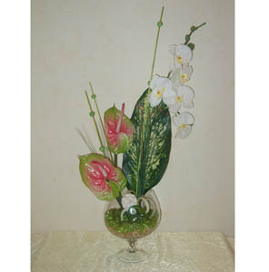 �������� ������ �rchid with anthuriums