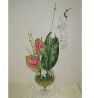 Compositions - �rchid with anthuriums
