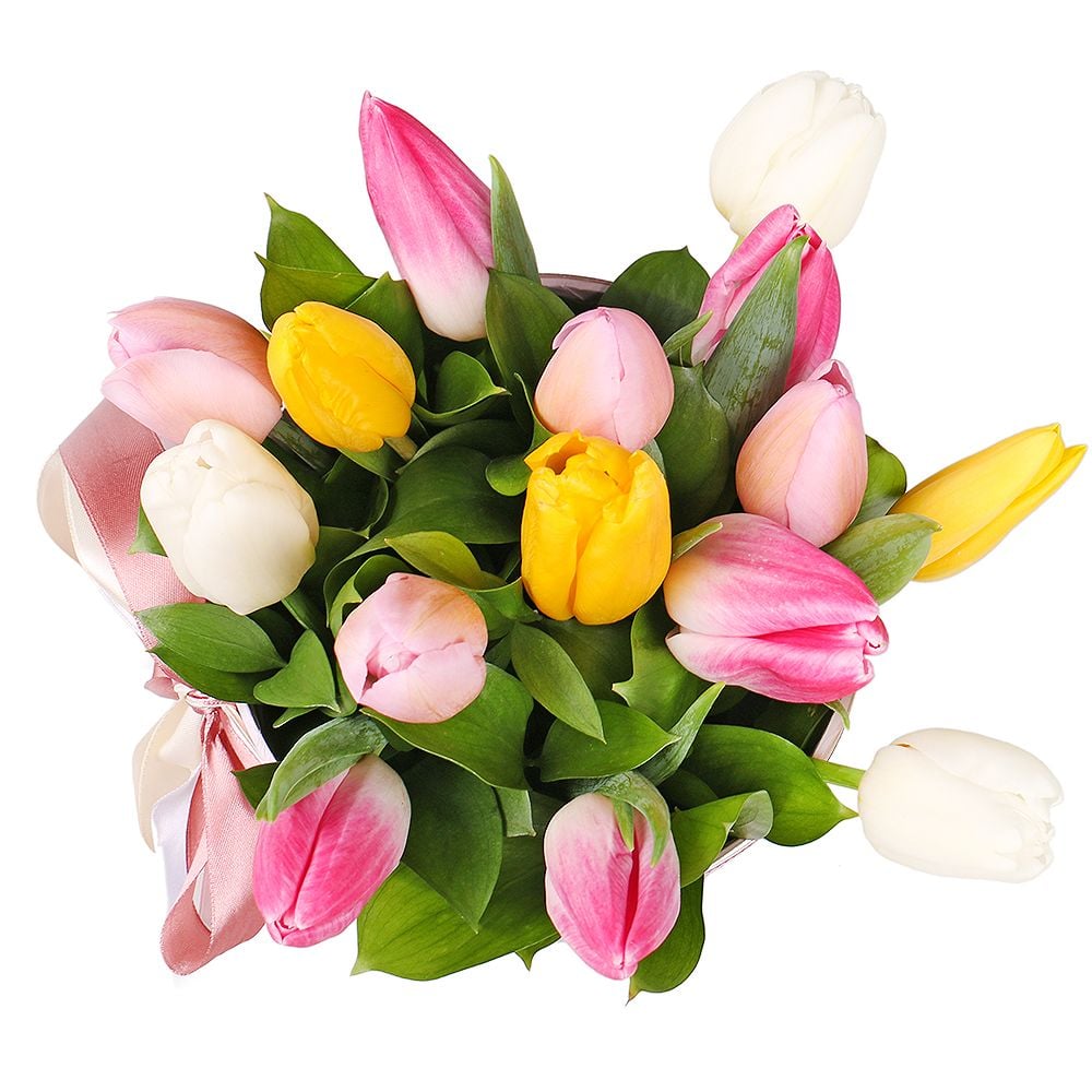 Product 15 tulips in a box