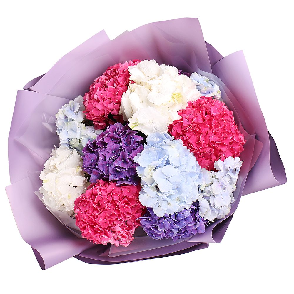Bouquet Bouquet of 11 hydrangeas