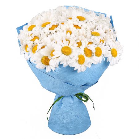 Bouquet 101 daisies