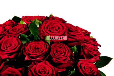 Bouquet Pomo! Red roses by the piece