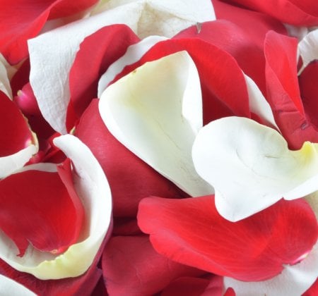 Bouquet Super offer! Petals Paradise