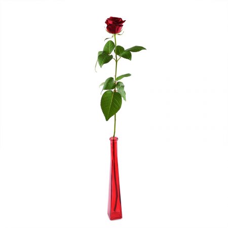 Bouquet Single red rose