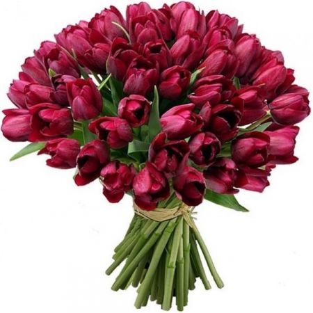 Bouquet 49 Tulips