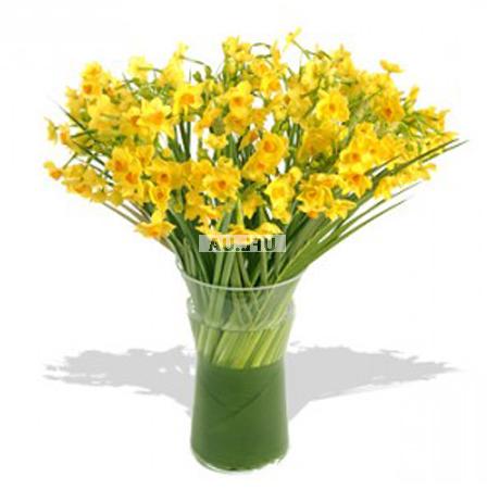 Bouquet 49 daffodils