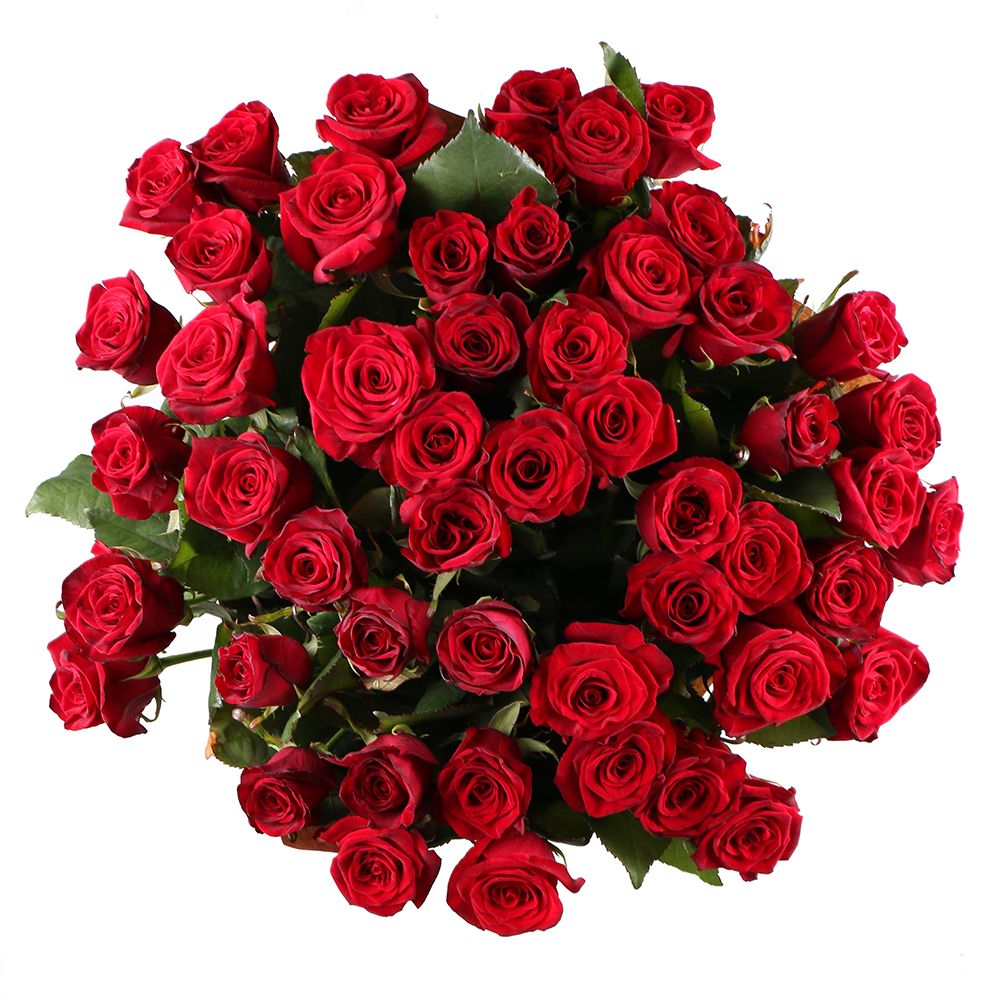 Bouquet 51 roses