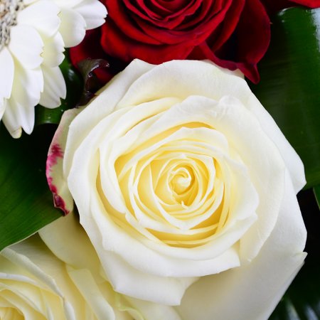 Bouquet Charming romance