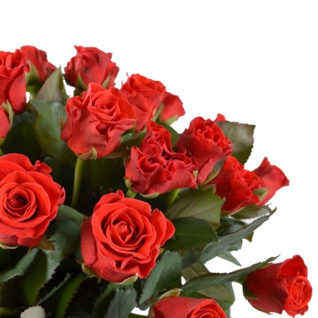 Bouquet 45 red roses