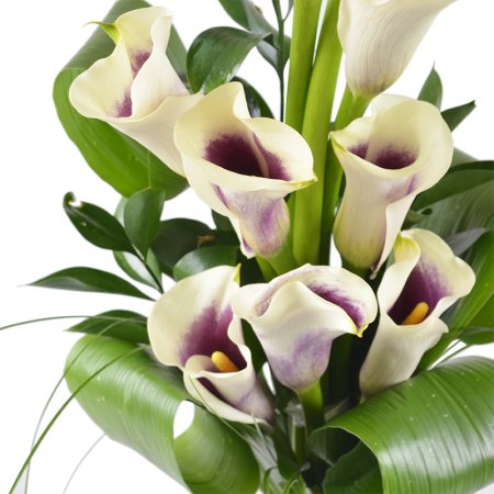 Bouquet Callas
