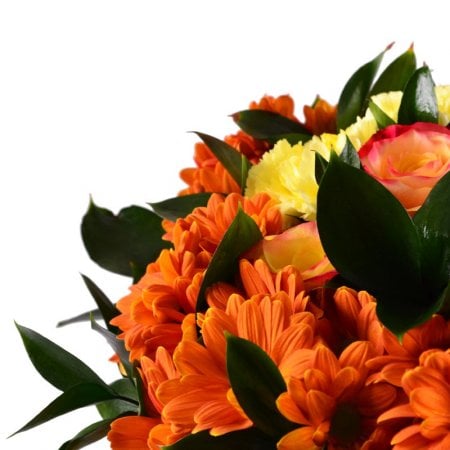 Order the bouquet for Sagittarius in our online shop. Delivery!