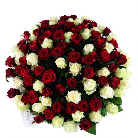 Order the bouquet of 101 red-and-white roses in our online shop. Delivery!