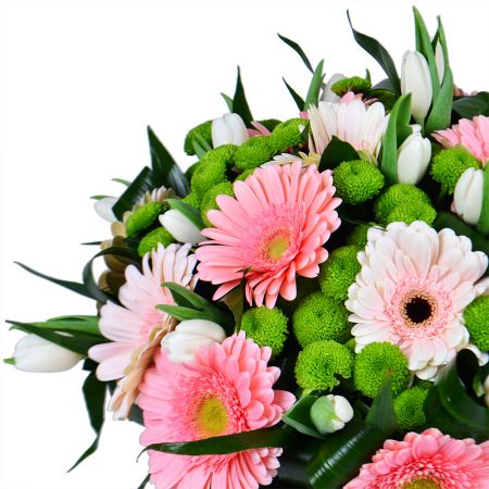 Order bouquet of pink gerberas with delivery
