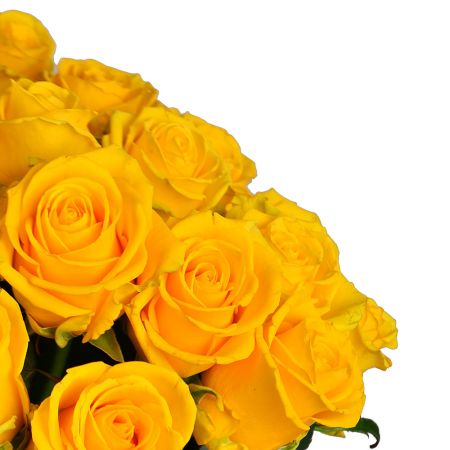 Order 101 yellow rose with delivery