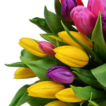 Buy 51 colorful tulip  with delivery