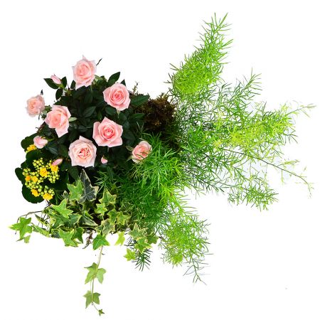 Buy a a bouquet 'Summer Morning' with delivery