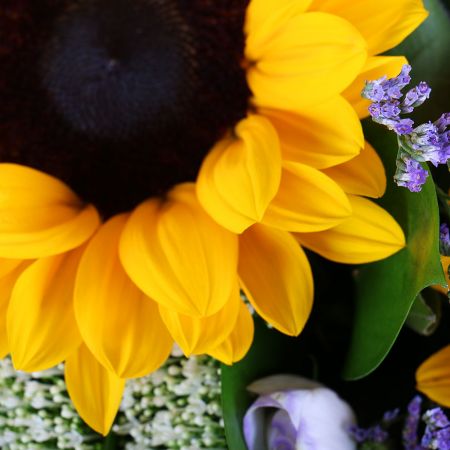 Bright beautiful bouquet of sunflowers 'Summer Symphony' to buy with delivery