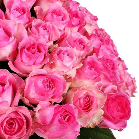 Buy exquisite composition of 101 pink rose in website