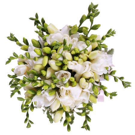 Bouquet Bouquet of freesies