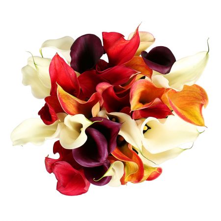 Order a bouquet of bright ''Mix of callas'' in online store
