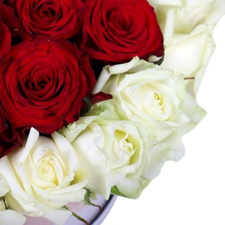 Heart of roses, rose heart, white red roses, white red bouquet, heart of flowers, roses in box