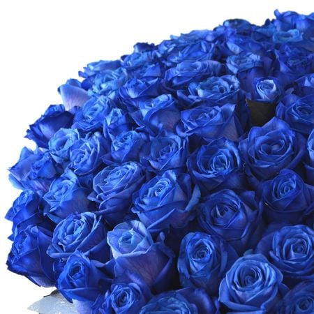Bouquet of 101 blue rose with delivery