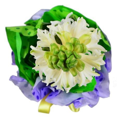 Bouquet Fragrant Hyacinth in a Pot