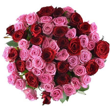 Bouquet Elegant bouquet of roses