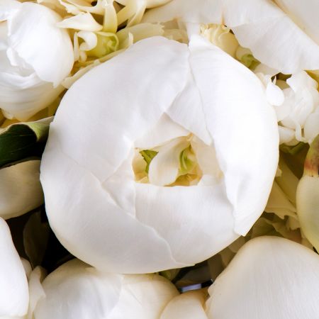 Bouquet 101 white peony