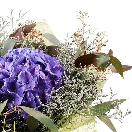 Bouquet Ensemble hydrangeas
