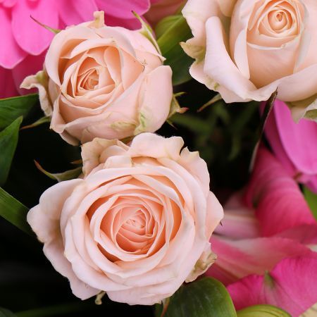 Bouquet Pink platter (wholesale)