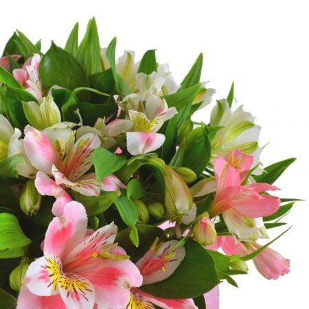 Bouquet Spring tenderness (wholesale)