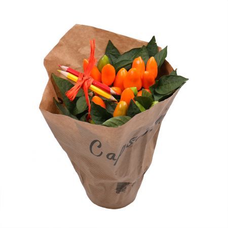 Capsicum | order the ornamental plant with delivery