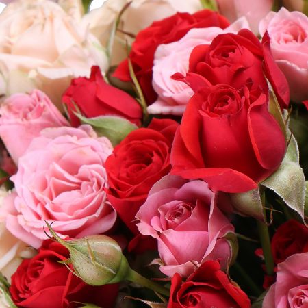 Bouquet Совершенство роз + Печенье с предсказаниями Happy Birthey