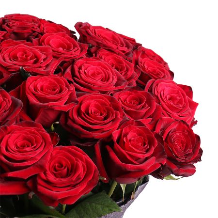 Bouquet 50 роз