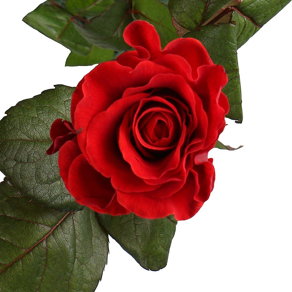 Bouquet Rose El Toro by piece 